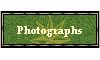 Photographs
